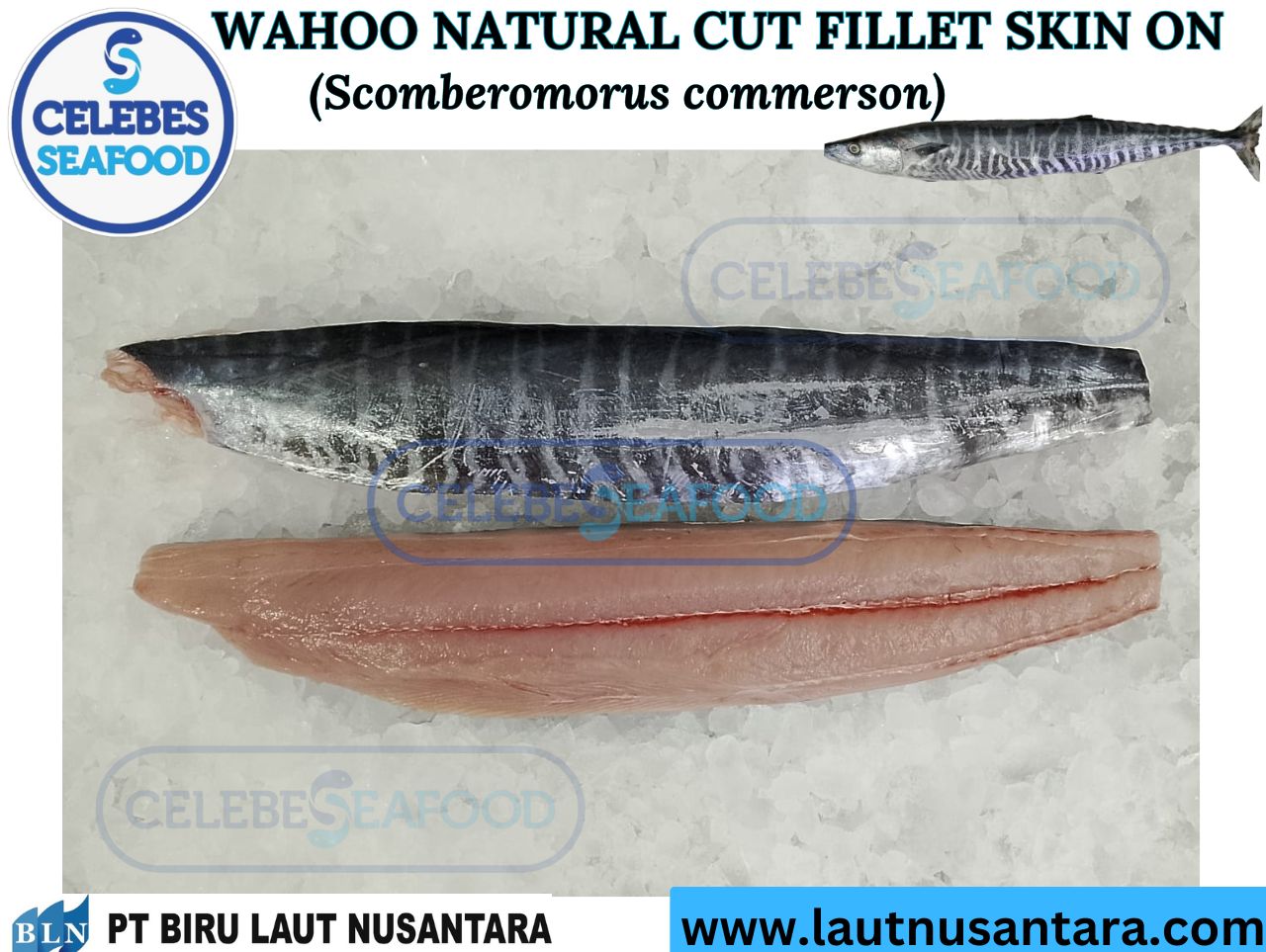 WAHOO NATURAL CUT FILLET SKIN ON